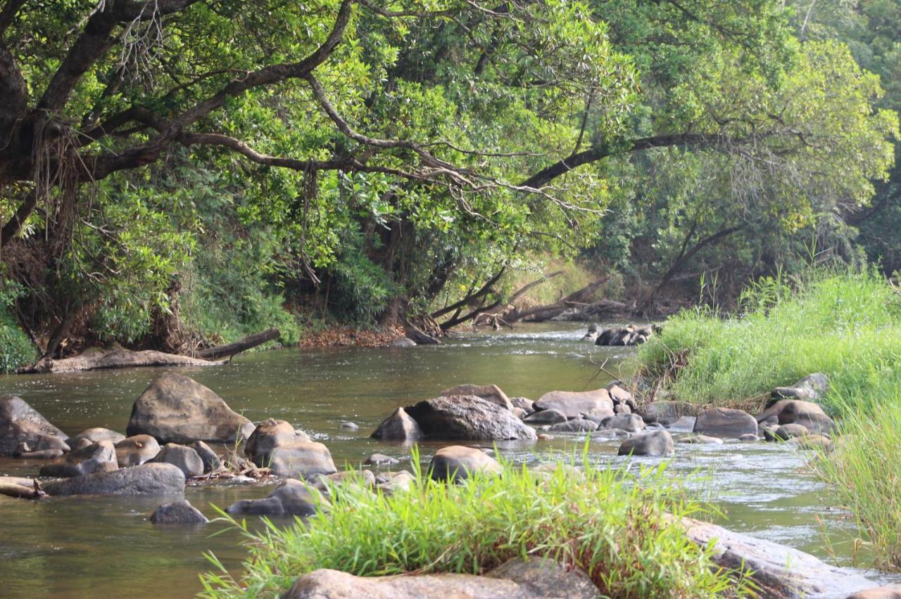 Lions Rock Rapids - Lodge Hazyview Ngoại thất bức ảnh