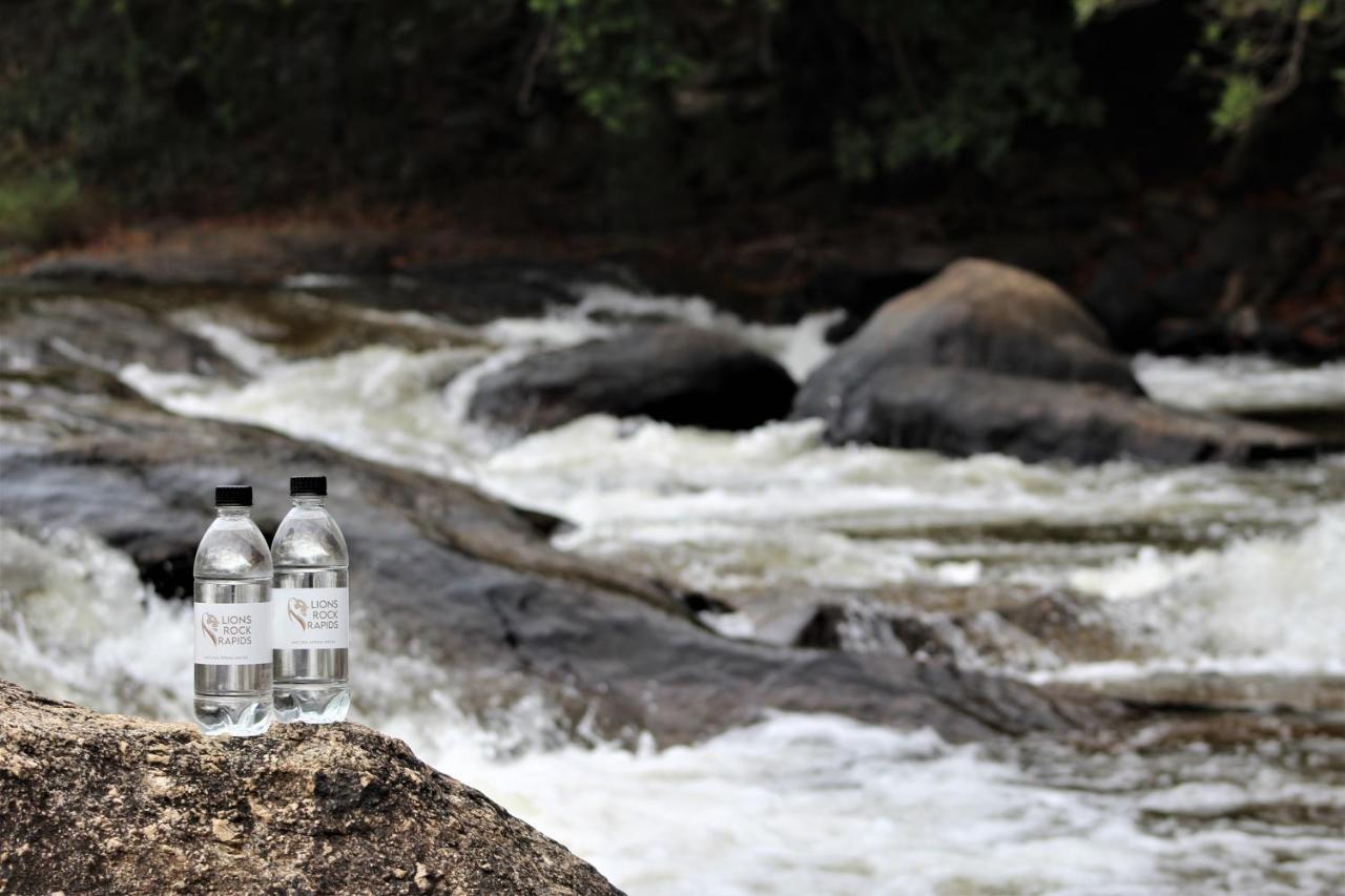 Lions Rock Rapids - Lodge Hazyview Ngoại thất bức ảnh