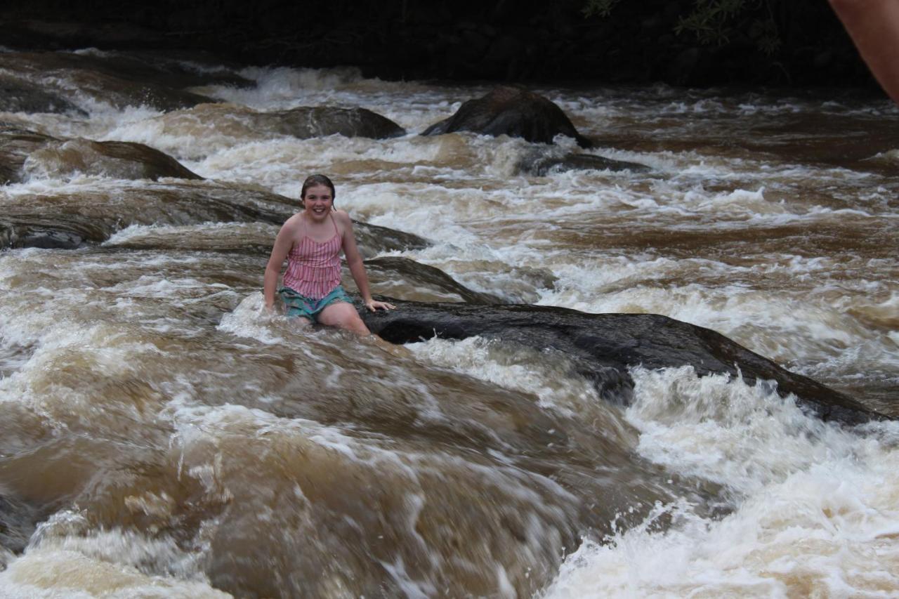 Lions Rock Rapids - Lodge Hazyview Ngoại thất bức ảnh