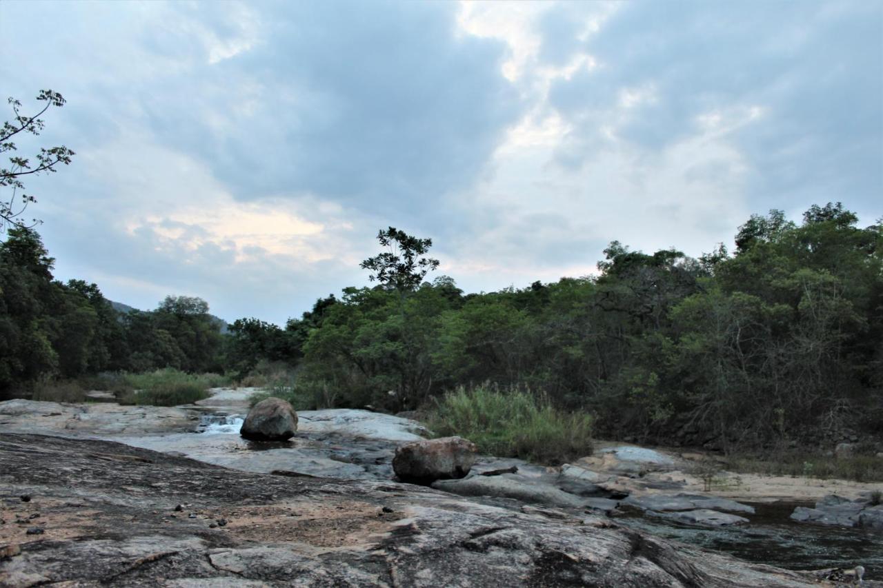Lions Rock Rapids - Lodge Hazyview Ngoại thất bức ảnh