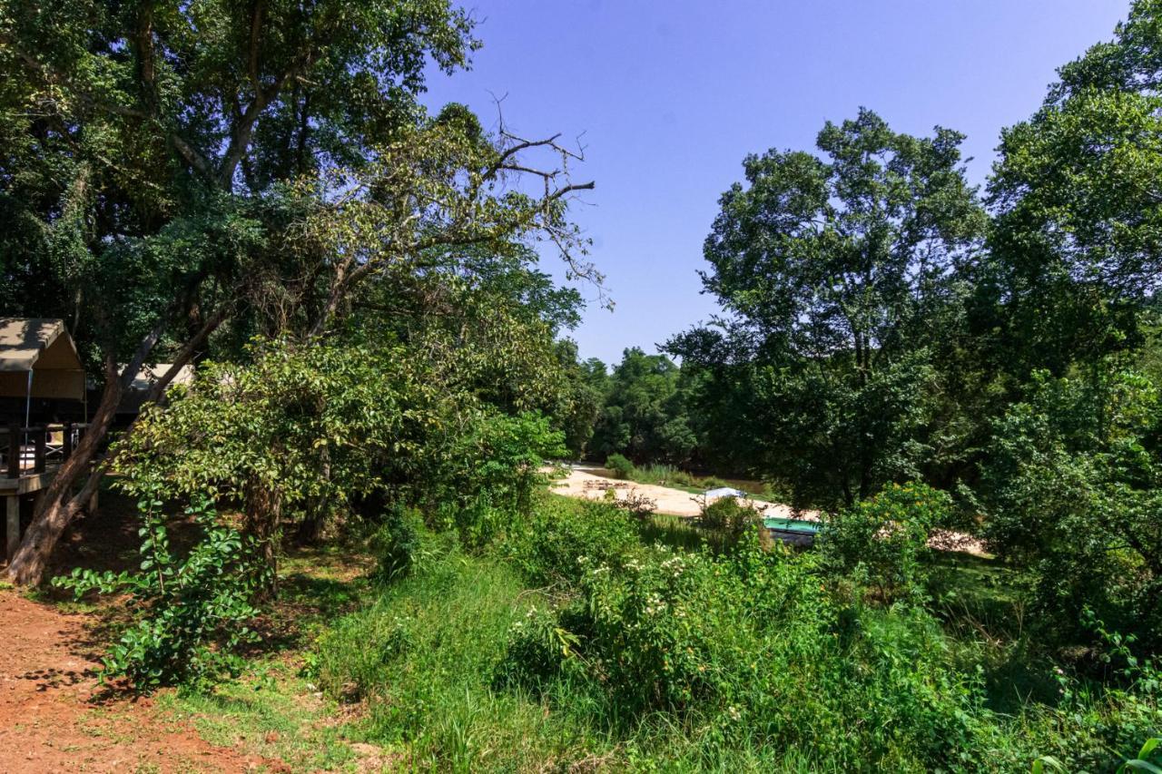 Lions Rock Rapids - Lodge Hazyview Ngoại thất bức ảnh